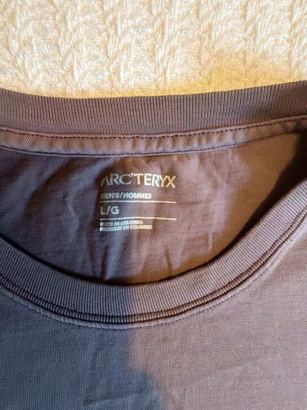 Arc'teryx Men's Logo Graphic Short Sleeve T-Shirt Grey Size Large